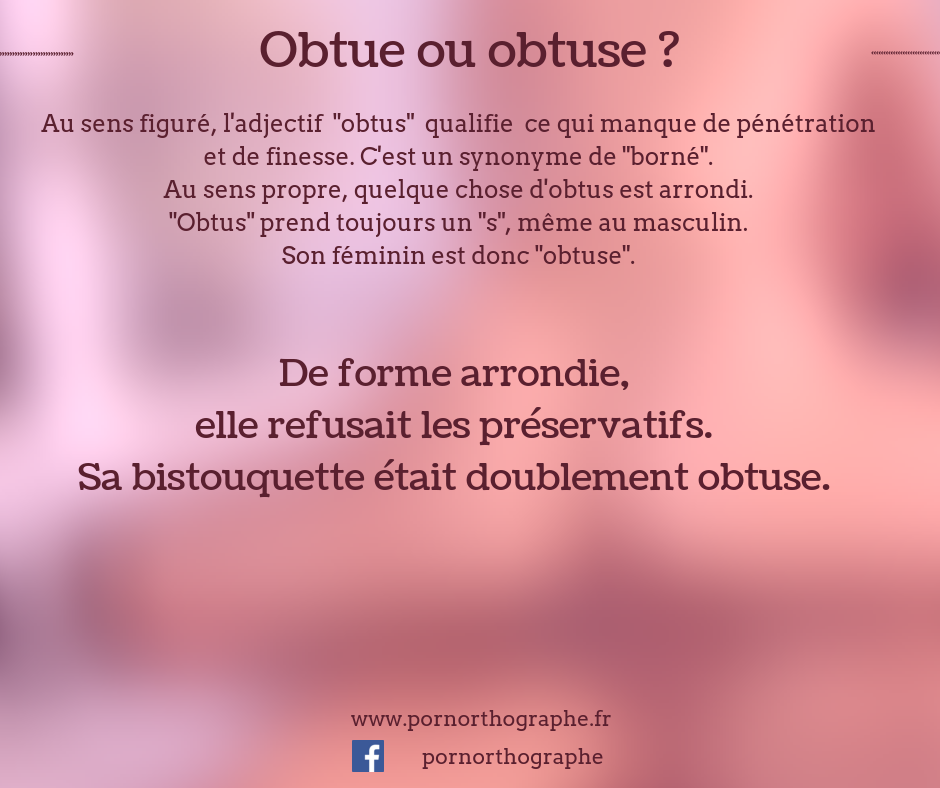obtue ou obtuse